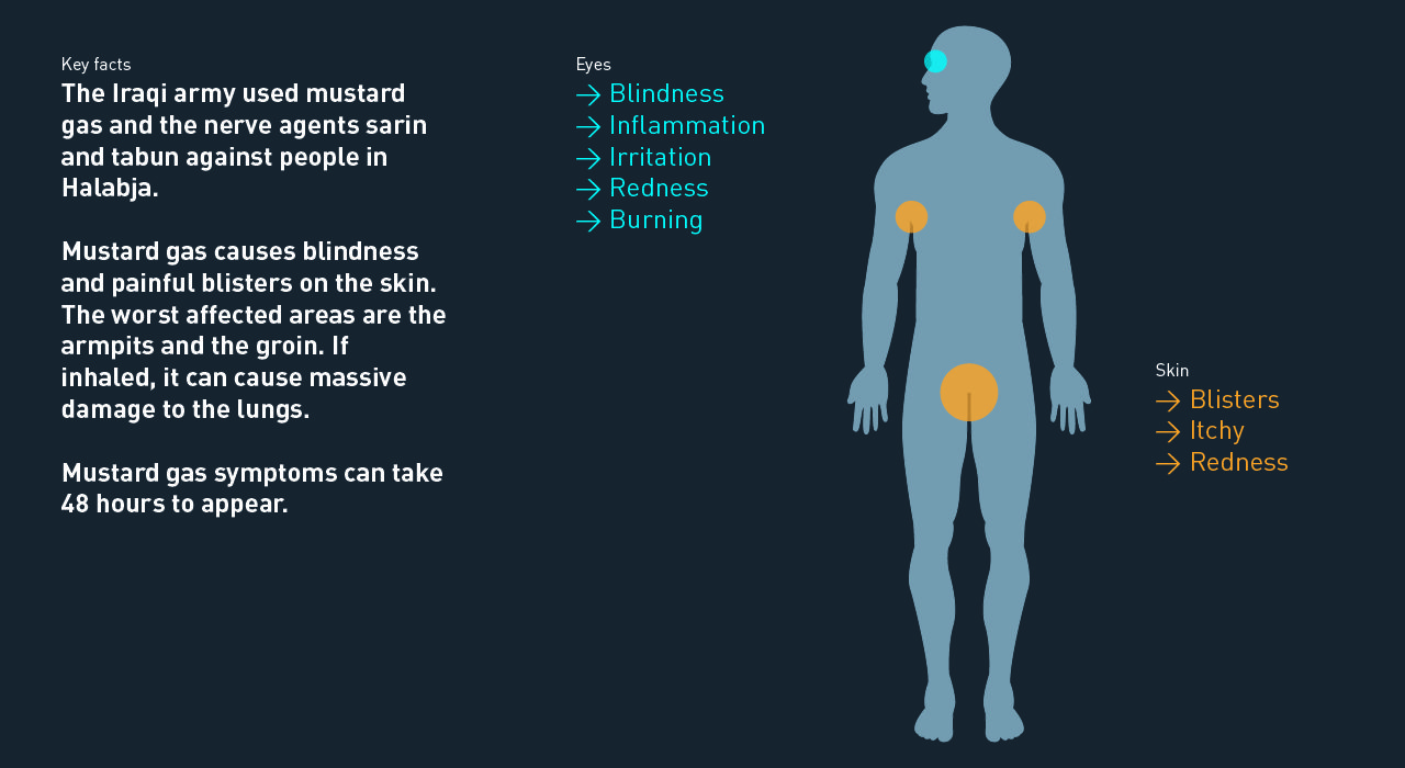 THE EFFECTS OF CHEMICAL AGENTS ON THE HUMAN BODY